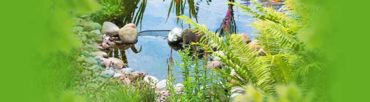gartenteich-kategorieeinstiegsbanner.jpg